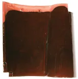 C12 Maple