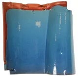CO1 Blue
