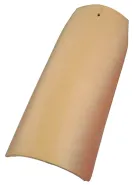 F46 Adobe Gold Crown Flash