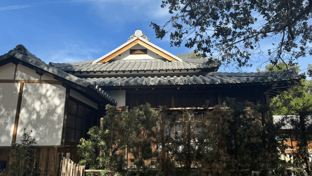 C09 Japanese Black