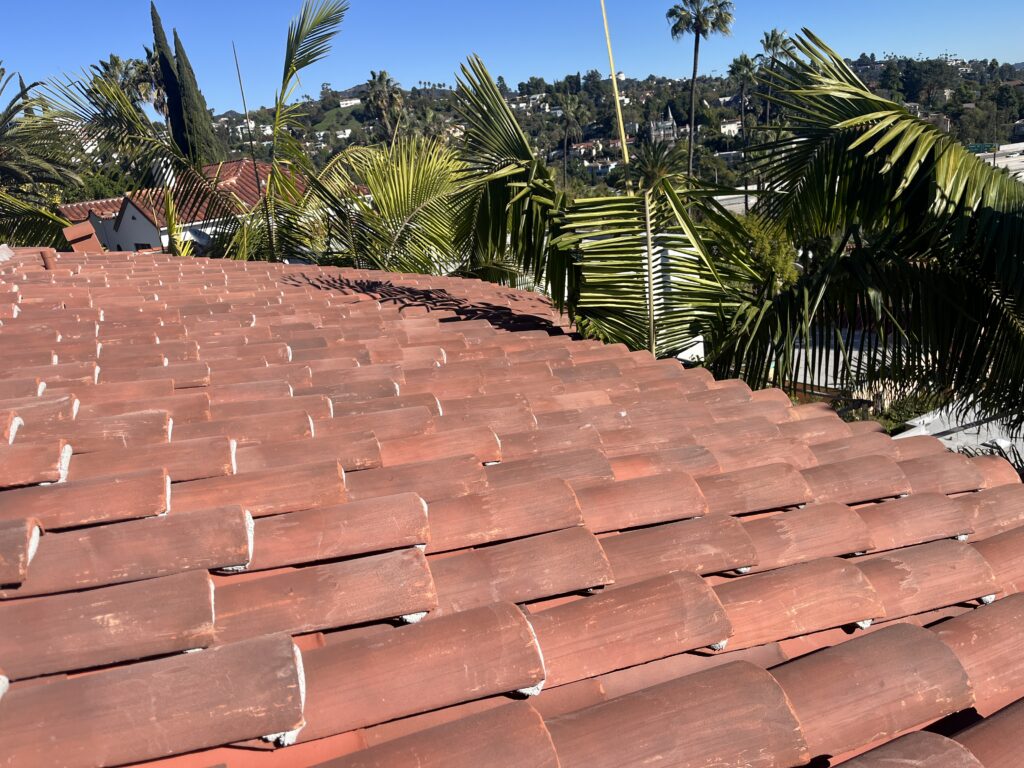 CF350 Oaks Blend